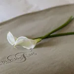 Romantik Schweizerhof 4* Flims