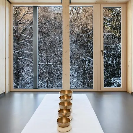 Romantik Schweizerhof & ホテル 4*