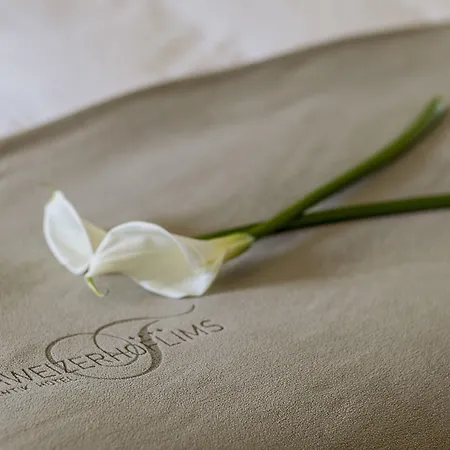 Romantik Schweizerhof & 4* フリムス